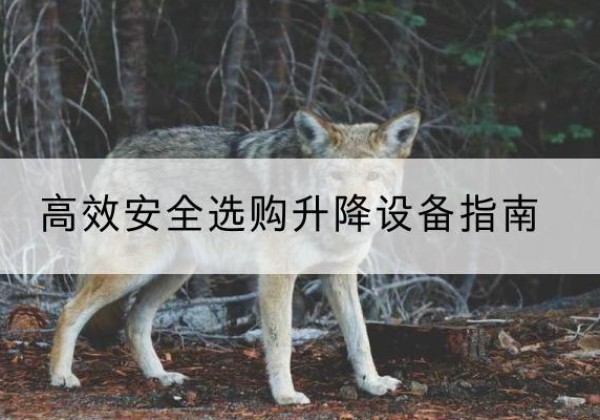 孝昌升降货梯厂家推荐-*安全选购升降设备指南