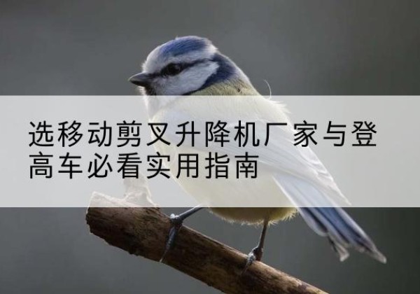 孝昌电动升降机厂家-选移动剪叉升降机厂家与登高车必看实用指南